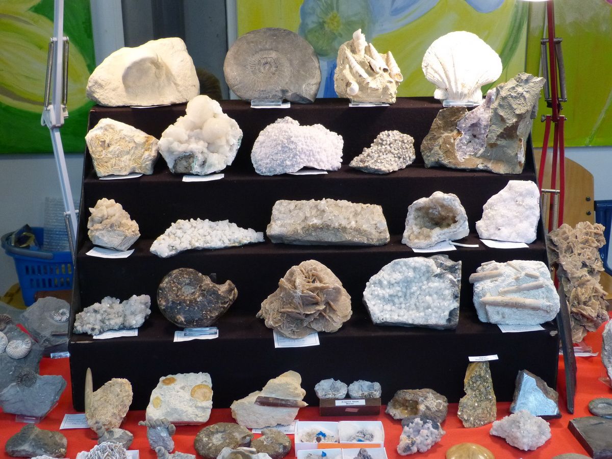 Mini Fossielen- & Mineralenbeurs