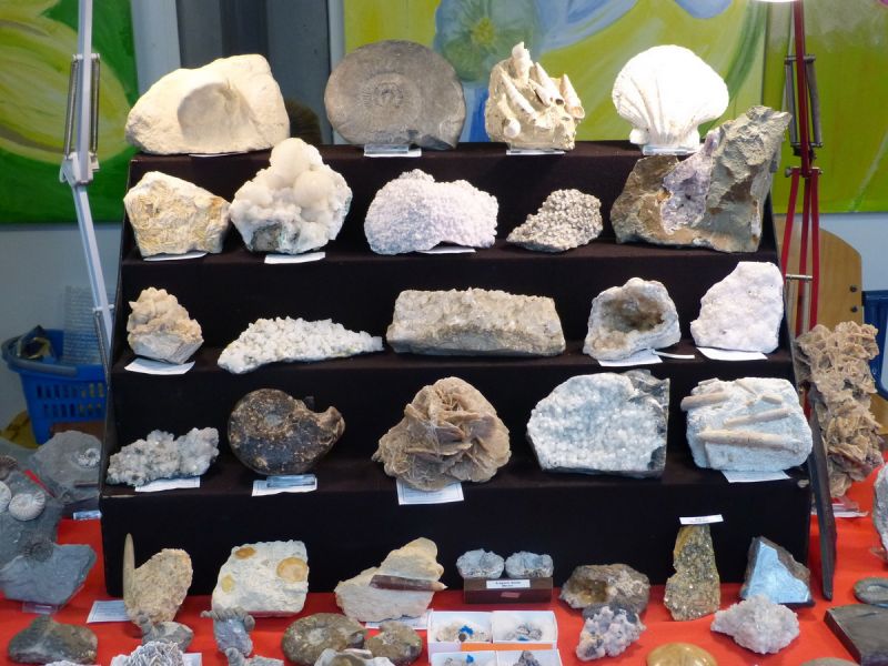 Mini Fossielen- &amp; Mineralenbeurs